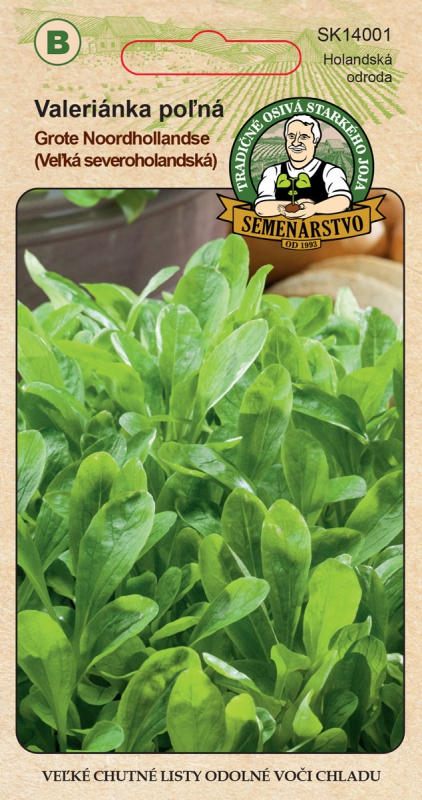 Semenárstvo Valeriánka poľná ´Grote Noordholladse´