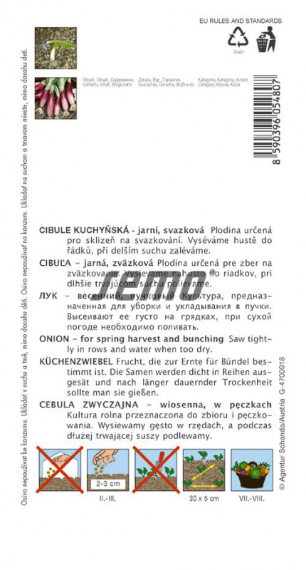 Semo Cibuľa kuchynská ´Rossa di Firenze´