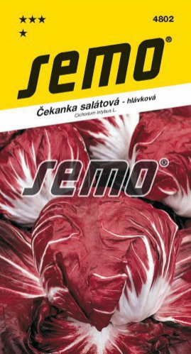 Semo Čakanka hlávková - šalátová ´Palla Rossa 3´