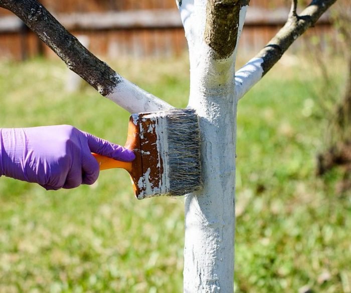 Biovita Vápno na bielenie stromov a kríkov 2kg