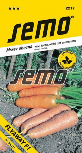 Semo Mrkva obyčajná ´Flyaway F1´