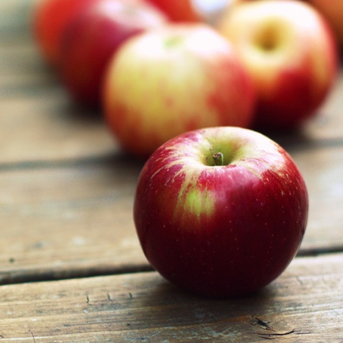 Jabloň "Gala" zimná, podp. M26, voľnok.