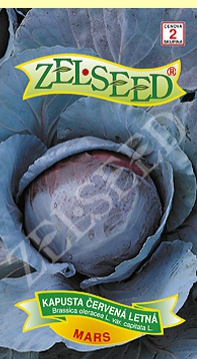 Zelseed Kapusta hlávková červená ´Mars´