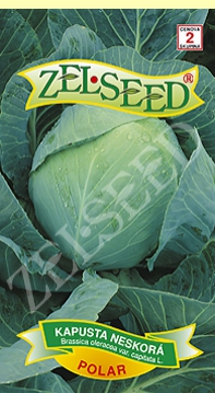 Zelseed Kapusta hlávková ´Polar´