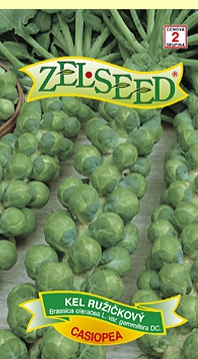 Zelseed Kel ružičkový ´Casiopea´