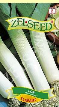 Zelseed Pór pestovaný ´Elefant´