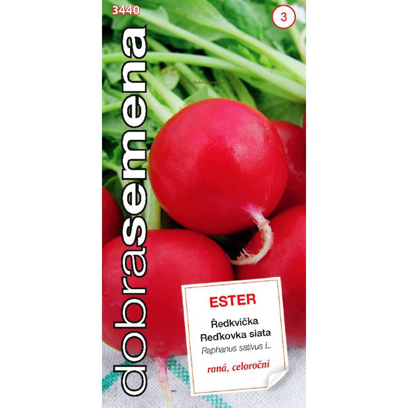 Dobrá semena Reďkovka červená ´Ester´