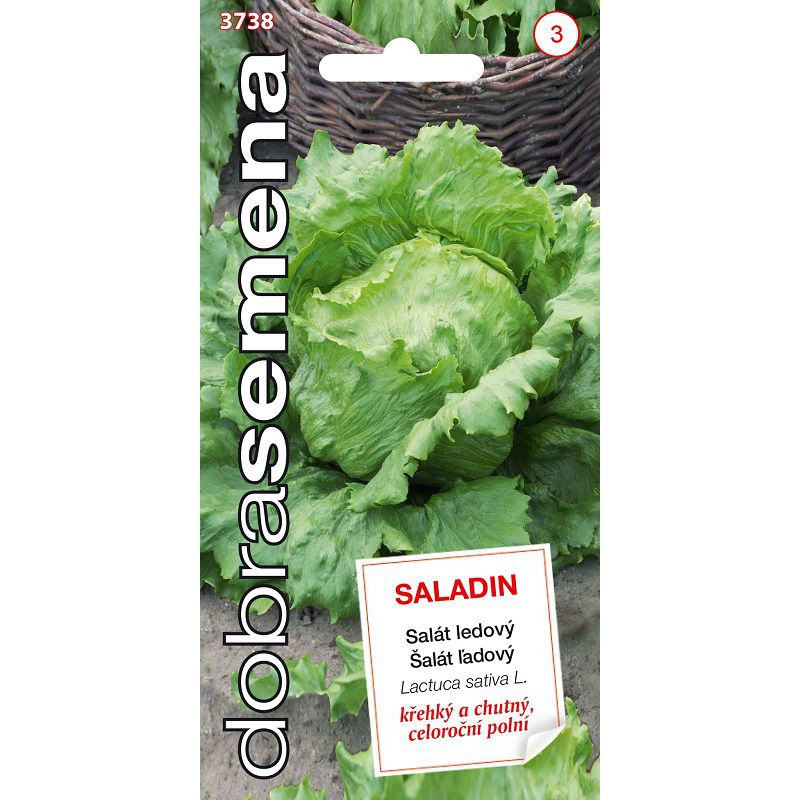 Dobrá semena Šalát hlávkový ´Saladin´