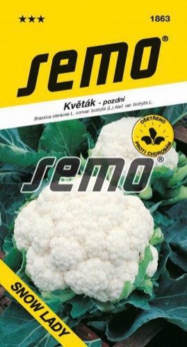 Semo Karfiol ´Snow Lady´