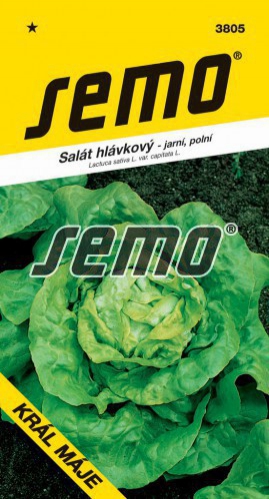 Semo Šalát jarný ´Král máje I.´