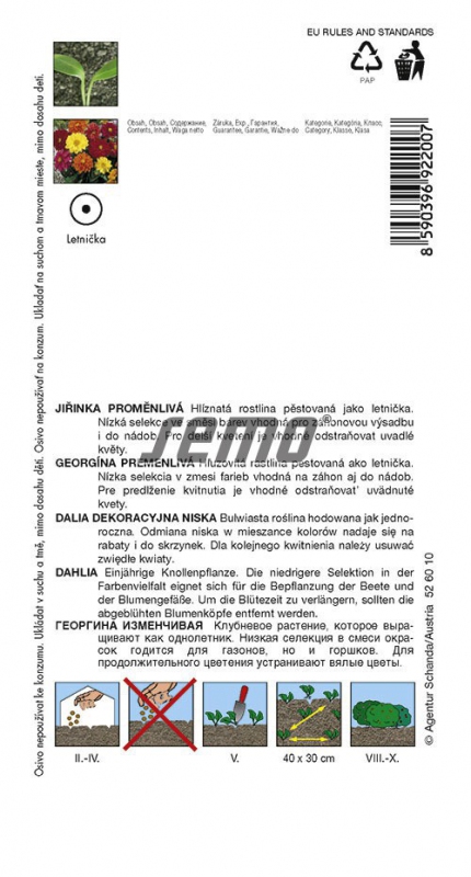 Semo Georgína nízka ´Kompakt Zmes´