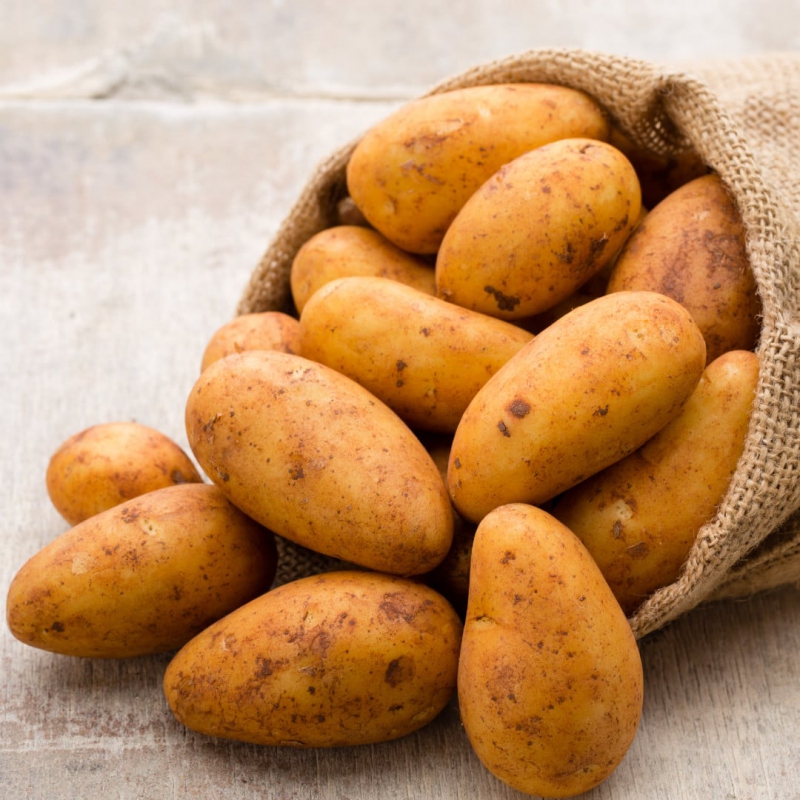 Sadbové zemiaky ´Wega´ 5kg
