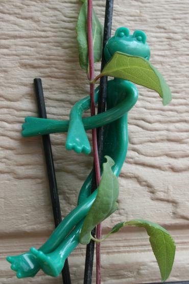 Žabky na uväzovanie rastlín