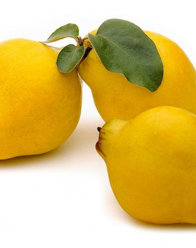 Dula hrušková ´Vranja´, podp. Dula, kont. 5l