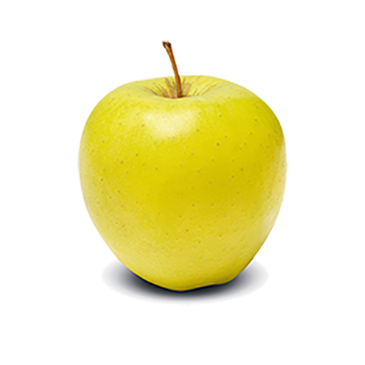 Jabloň "Golden Delicious" zimná, podp. MM106, kont. 5l