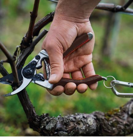 FELCO 8 Elite  Záhradné nožnice