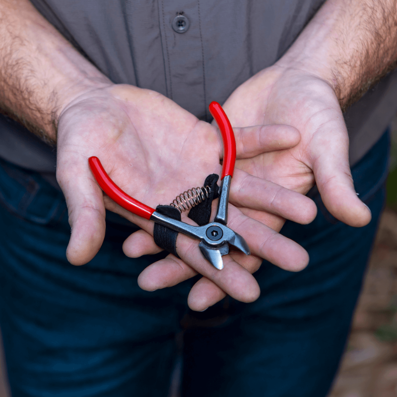 FELCO 330  Nožnice na ovocie