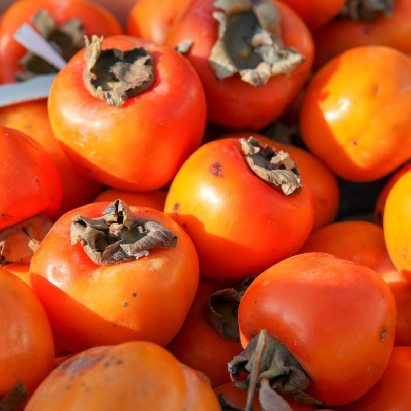 Hurmikaki ´Tipo´ na kmienku 18l