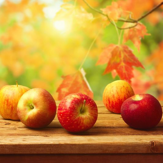 Jabloň "Jonathan" zimná, podpn. M9, voľnok.