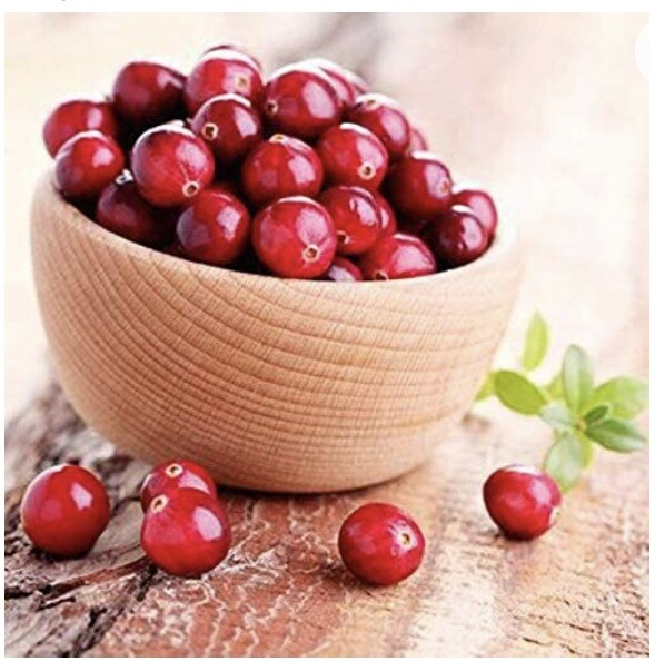 Brusnica veľkoplodá Kľukva ´Ben Learl´