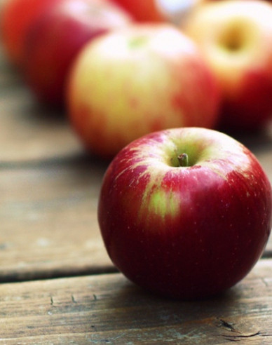 Jabloň ´Gala´ zimná, podp. MM106, voľnok.