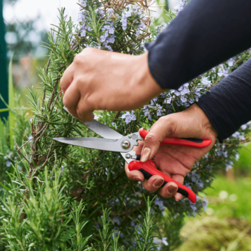 FELCO 456 Univerzálne nožnice
