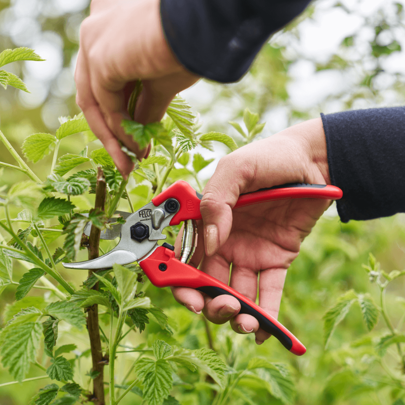 FELCO 171M Nožnice + FELCO 902 brúska