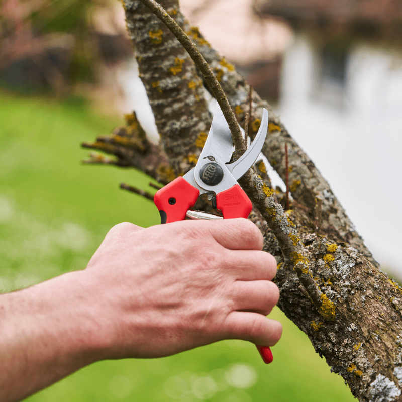 FELCO 171L Nožnice + FELCO 902 brúska