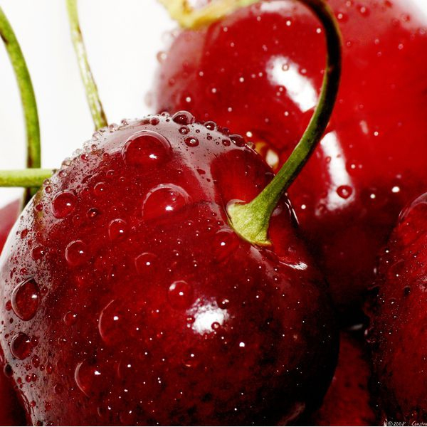 Čerešňa ´KORDIA´ neskorá, podp. Colt, voľnok.