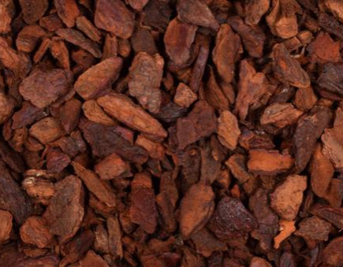 Saniflor Píniová kôra 45/80mm 60l