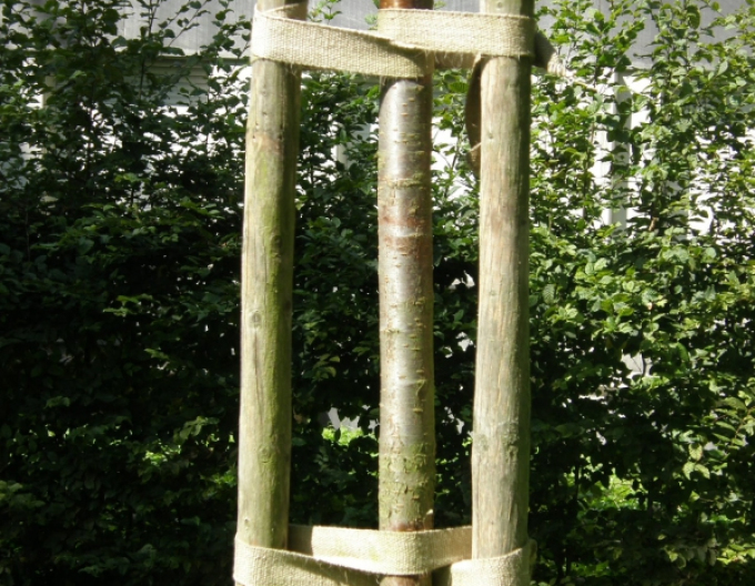 Oporný kôl s hrotom priemer  5cm - výška 250cm