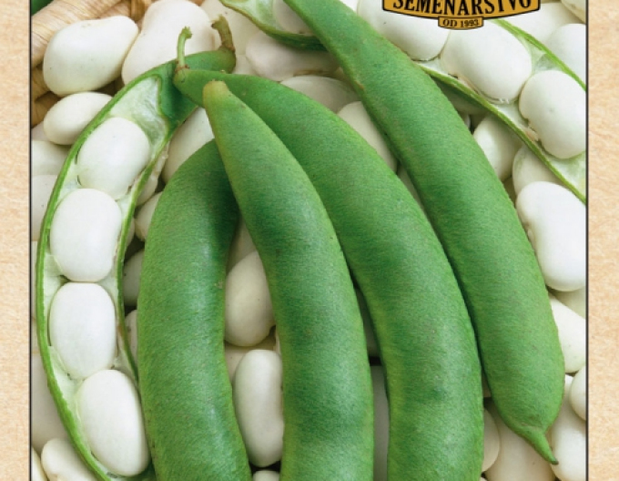 Semenárstvo Fazuľa šarlátová – trpazlíčia ´Kontra´