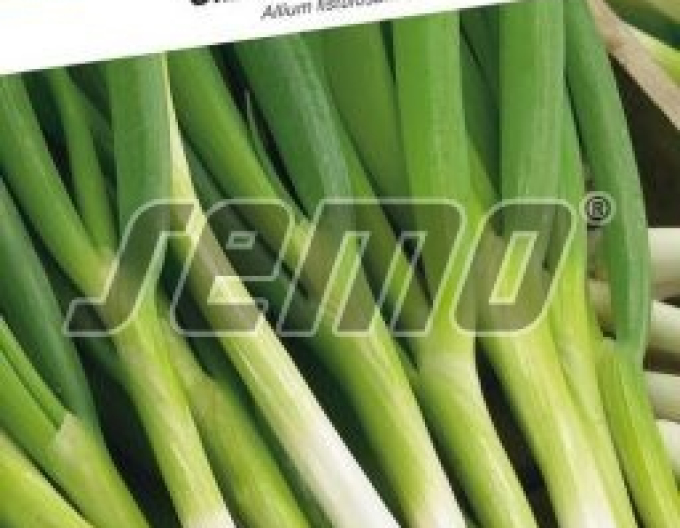 Semo Cibuľa kuchynská zimná ´Kaj´