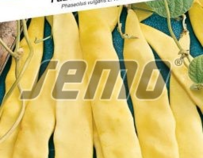 Semo Fazuľa záhradná tyčová ´Meraviglia Di Venezia´