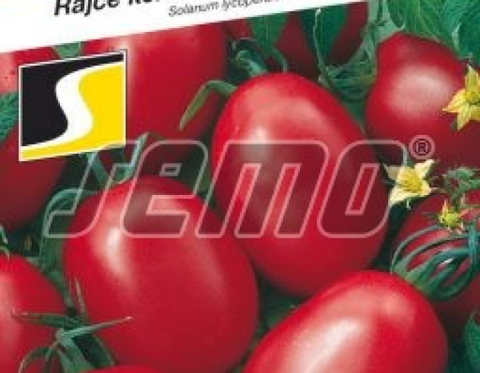 Semo Rajčiak Kríčkový ´Šejk´