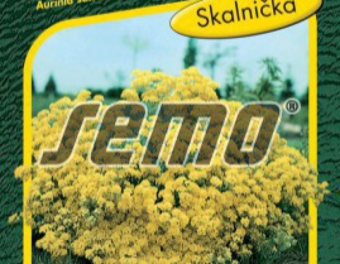 Semo Tarica skalná ´Gold Cloud´