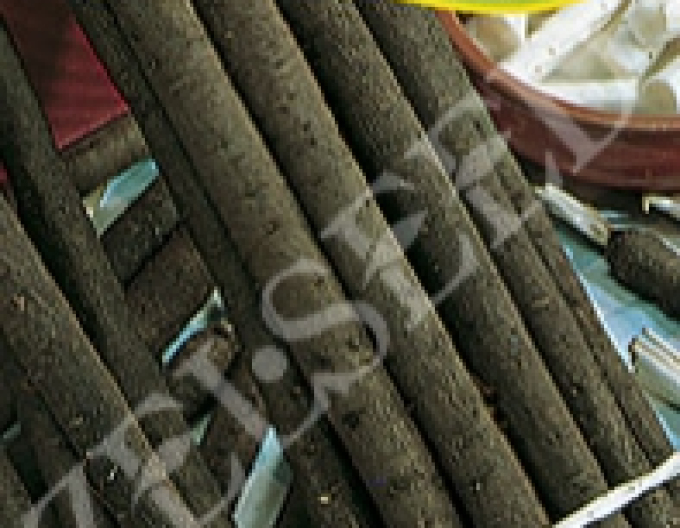 Zelseed Čierny koreň