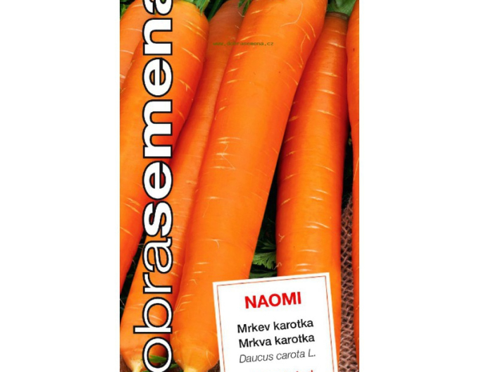 Dobrá semena Mrkva obyčajná ´Naomi´