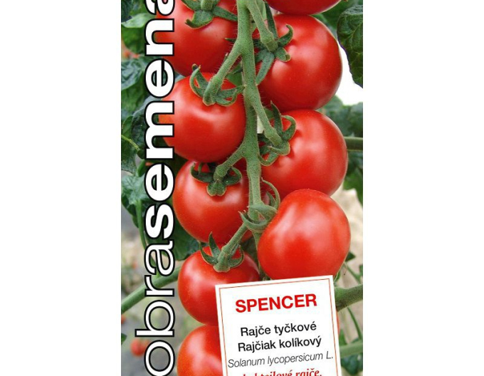 Dobrá semena Rajčiak kolíkový ´Spencer´