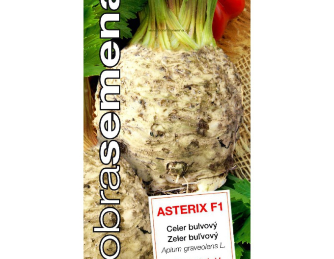 Dobrá semena Zeler buľvový ´Asterix F1´