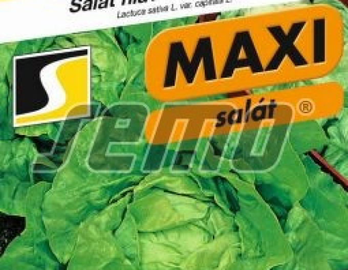 Semo Šalát letný ´Jupiter´