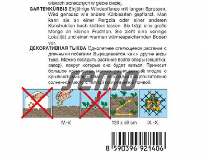 Semo Tekvica okrasná ´Andelská Krídla´