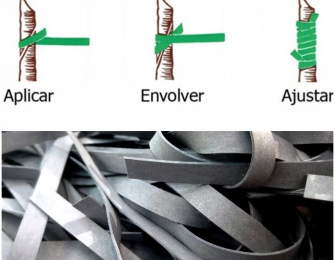 Štepárska gumička 100x3,5mm