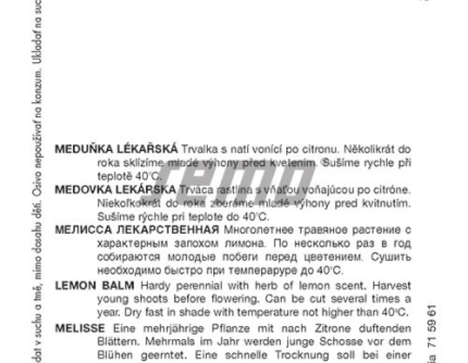 Semo Medovka lekárska ´Citra´