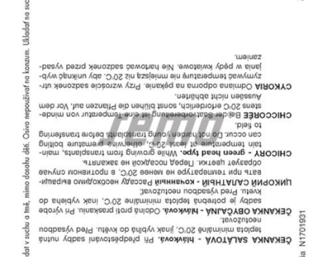 Semo Čakanka šalátová ´Bravo´