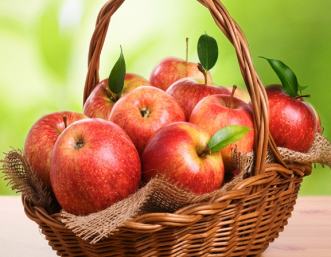 Jabloň Jonagold zimná, podpn.MM106, voľnok.