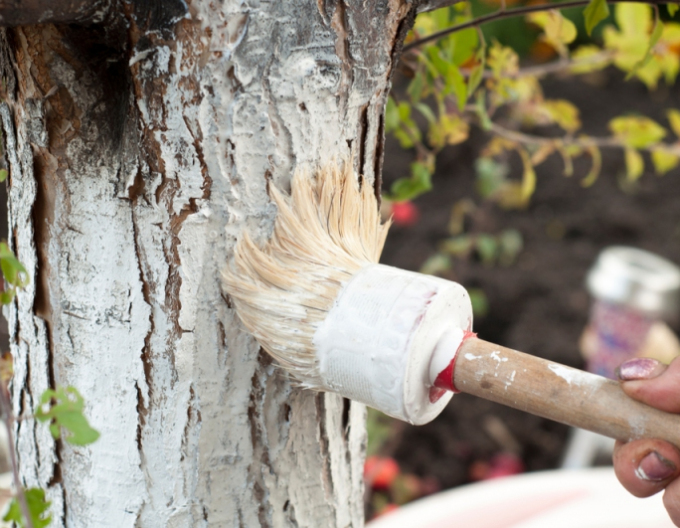 Biovita Vápno na bielenie stromov a kríkov vedierko 1kg