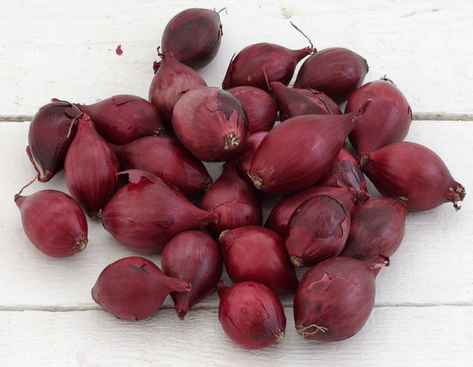 Cibuľa sadzačka ´Red Baron´ 10/21  0,25kg