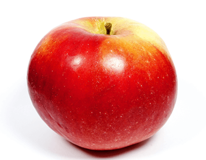 Jabloň ´Idared´ zimná, podp. MM106, voľnok.