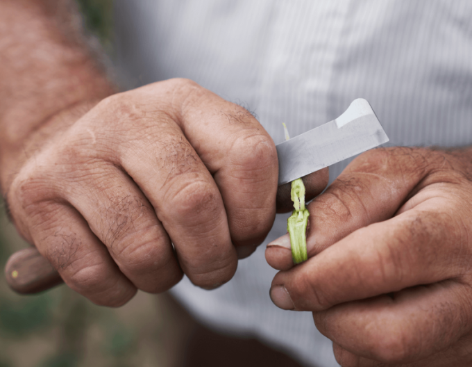 FELCO 512  Vrúbľovací nôž